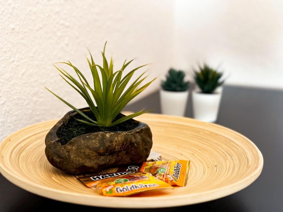 Modernes Apartment Naehe Chemnitz Wifi Netflix Neukirchen  Екстериор снимка